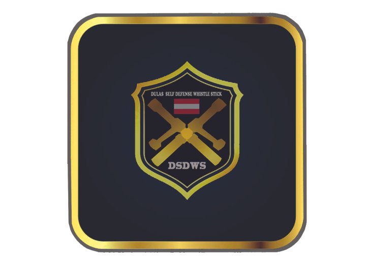 DSDWS